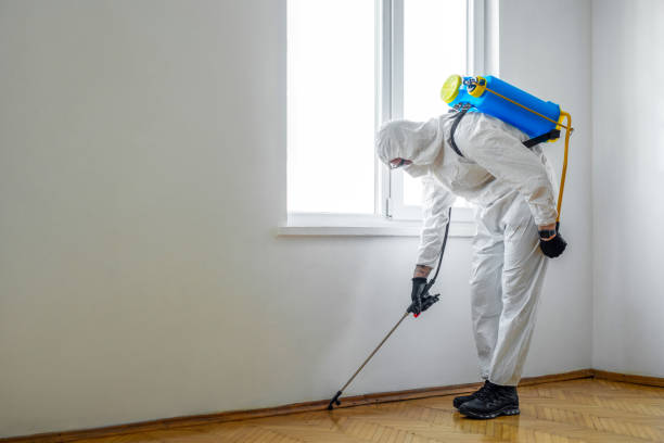 Best Emergency Pest Control  in Blissfield, MI